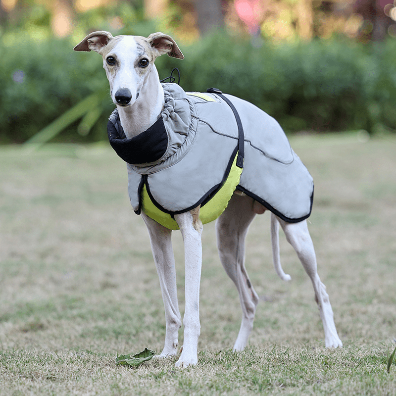 Warm Windproof Whippet Dog Vest