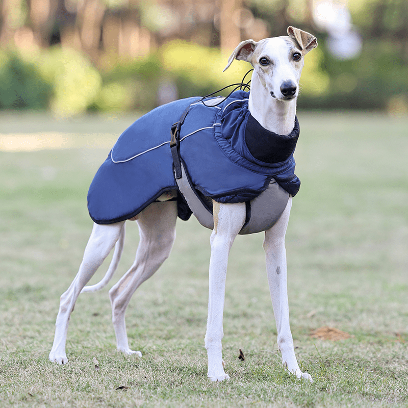 Warm Windproof Whippet Dog Vest