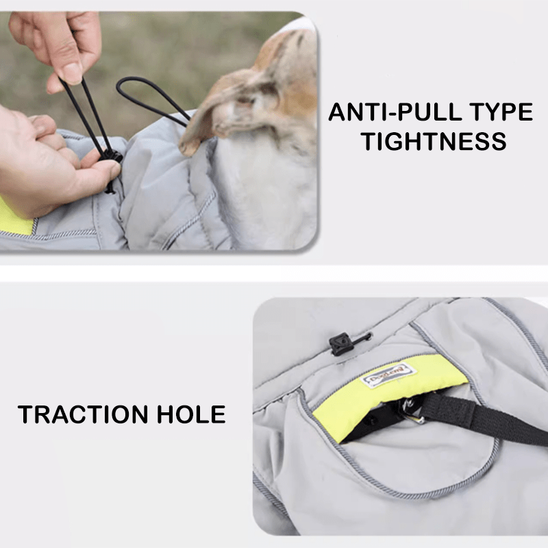 Warm Windproof Whippet Dog Vest