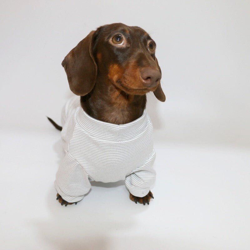 Lightweight Striped Dachshund Dog Onesies