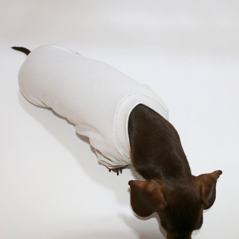 Lightweight Striped Dachshund Dog Onesies