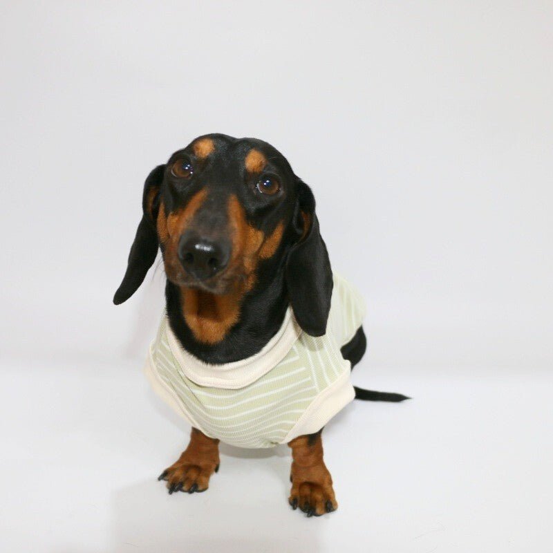 Lightweight Dachshund Dog Sleeveless Shirt