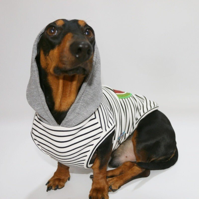Lightweight Breathable Dachshund Dog Hoodie