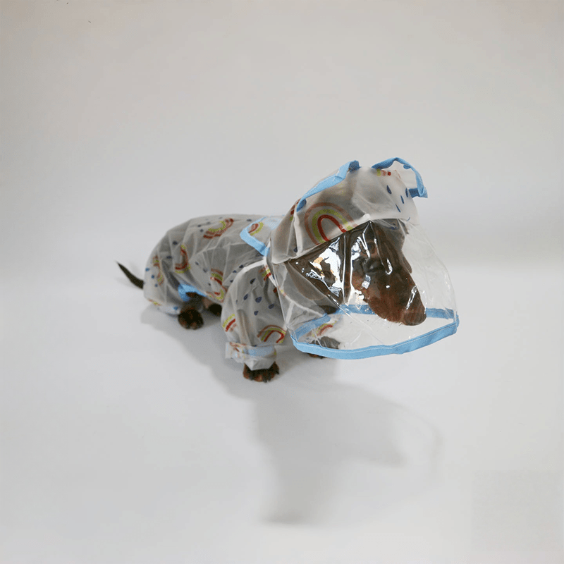 Transparent Waterproof Dachshund Dog Raincoat