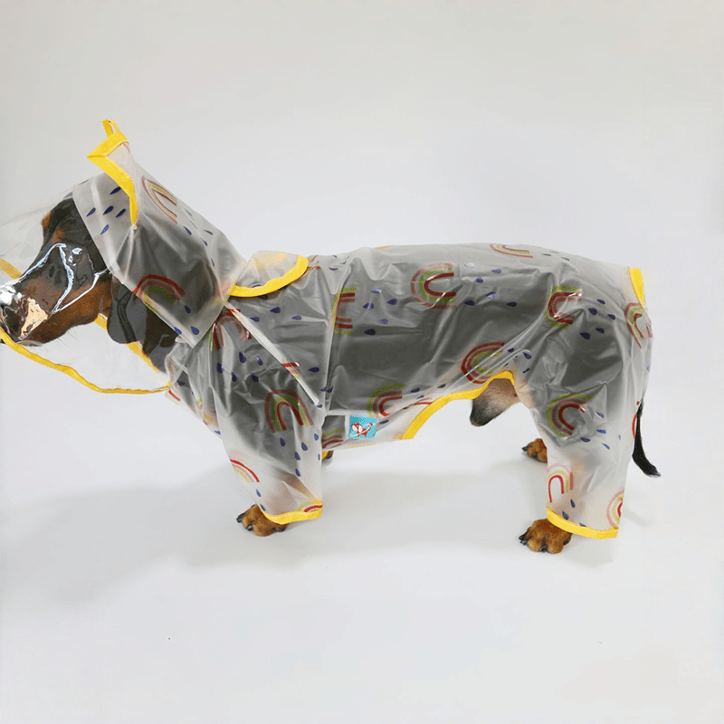 Transparent Waterproof Dachshund Dog Raincoat