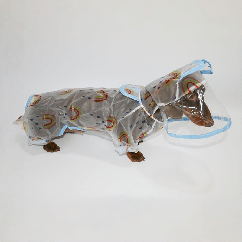 Transparent Waterproof Dachshund Dog Raincoat