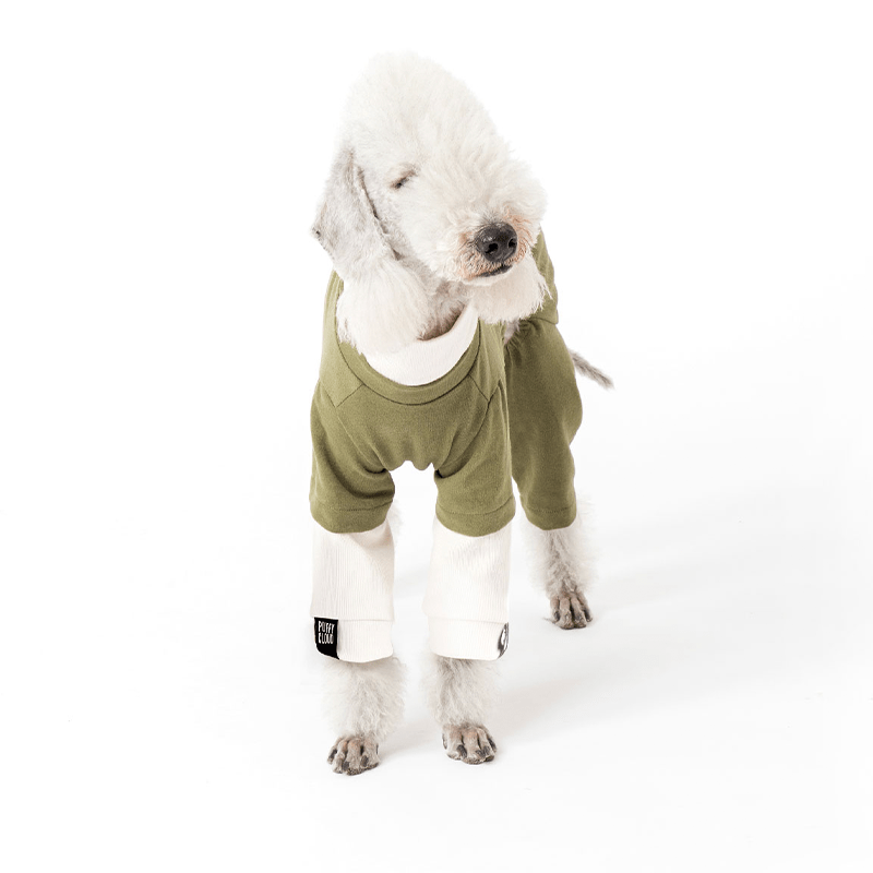 Warm Cozy Dog Dog Onesies