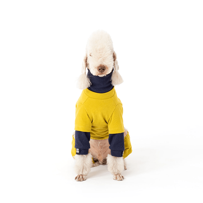 Warm Cozy Dog Dog Onesies