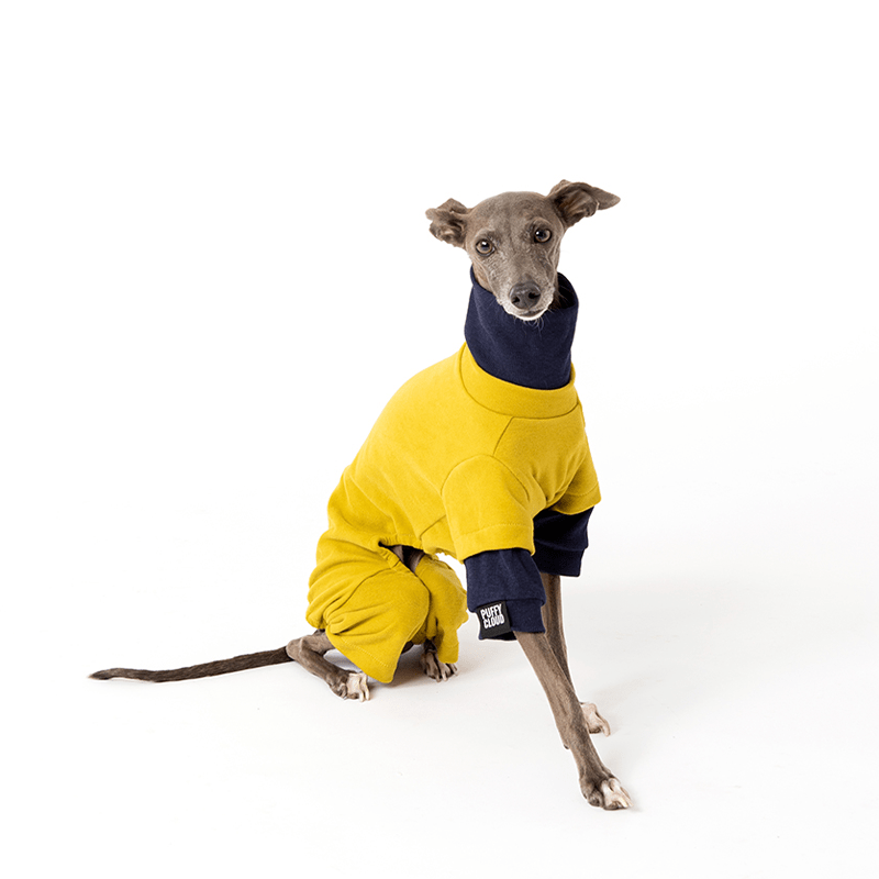 Warm Fleece Dog Onesie Italian Greyhound