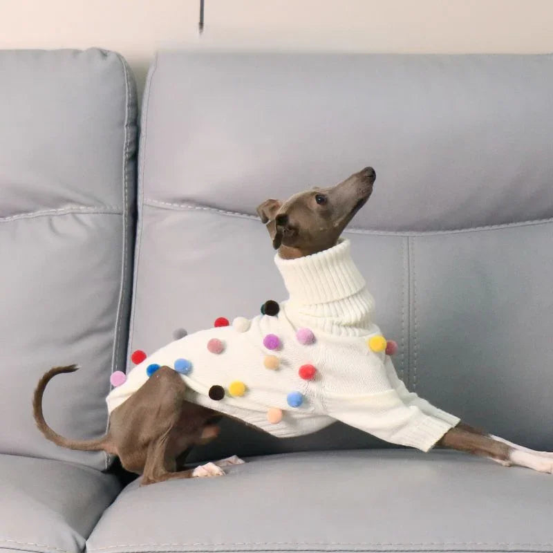 Warm Knit Greyhound Sweater