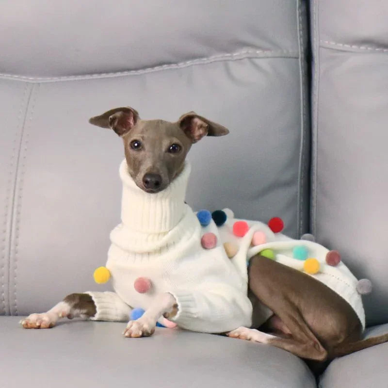 Warm Knit Greyhound Sweater