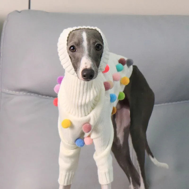 Warm Knit Greyhound Sweater