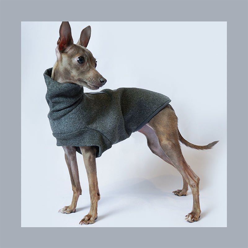 Luxurious Italian Greyhound Turtleneck Shirt