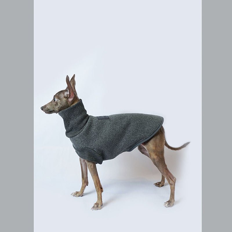 Luxurious Italian Greyhound Turtleneck Shirt