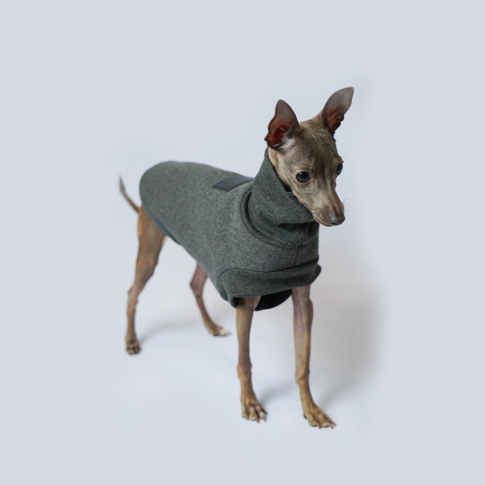 Luxurious Italian Greyhound Turtleneck Shirt