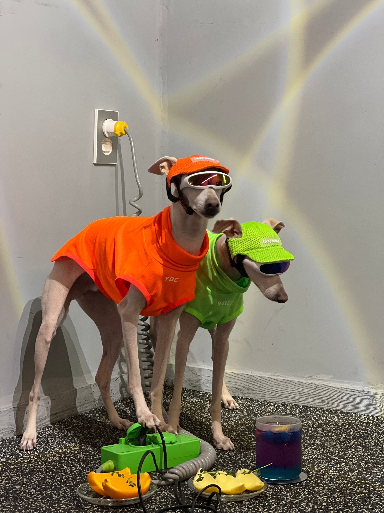 Breathable Reflective Italian Greyhound Tank Top