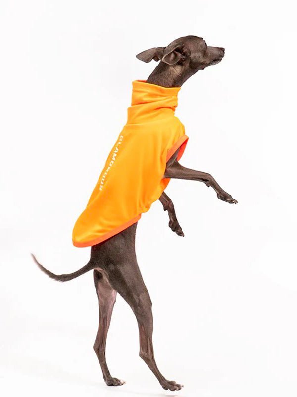 Breathable Reflective Italian Greyhound Tank Top