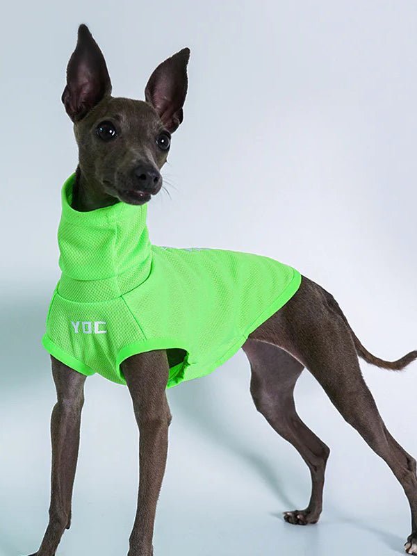 Breathable Reflective Italian Greyhound Tank Top