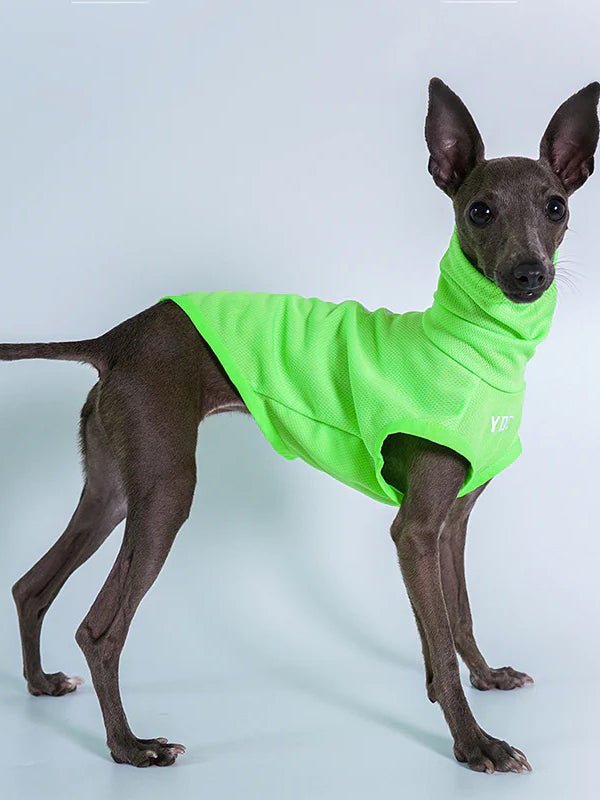 Breathable Reflective Italian Greyhound Tank Top