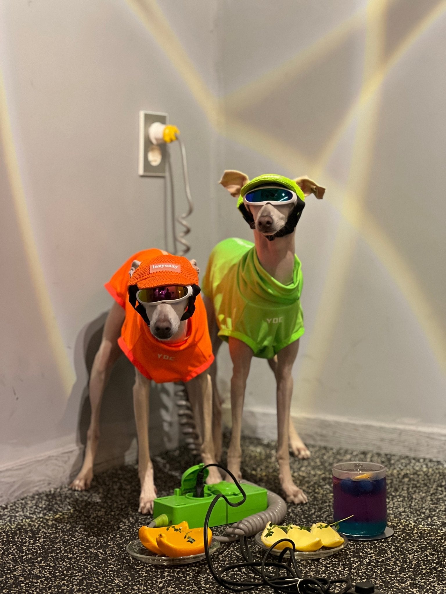 Breathable Reflective Italian Greyhound Tank Top