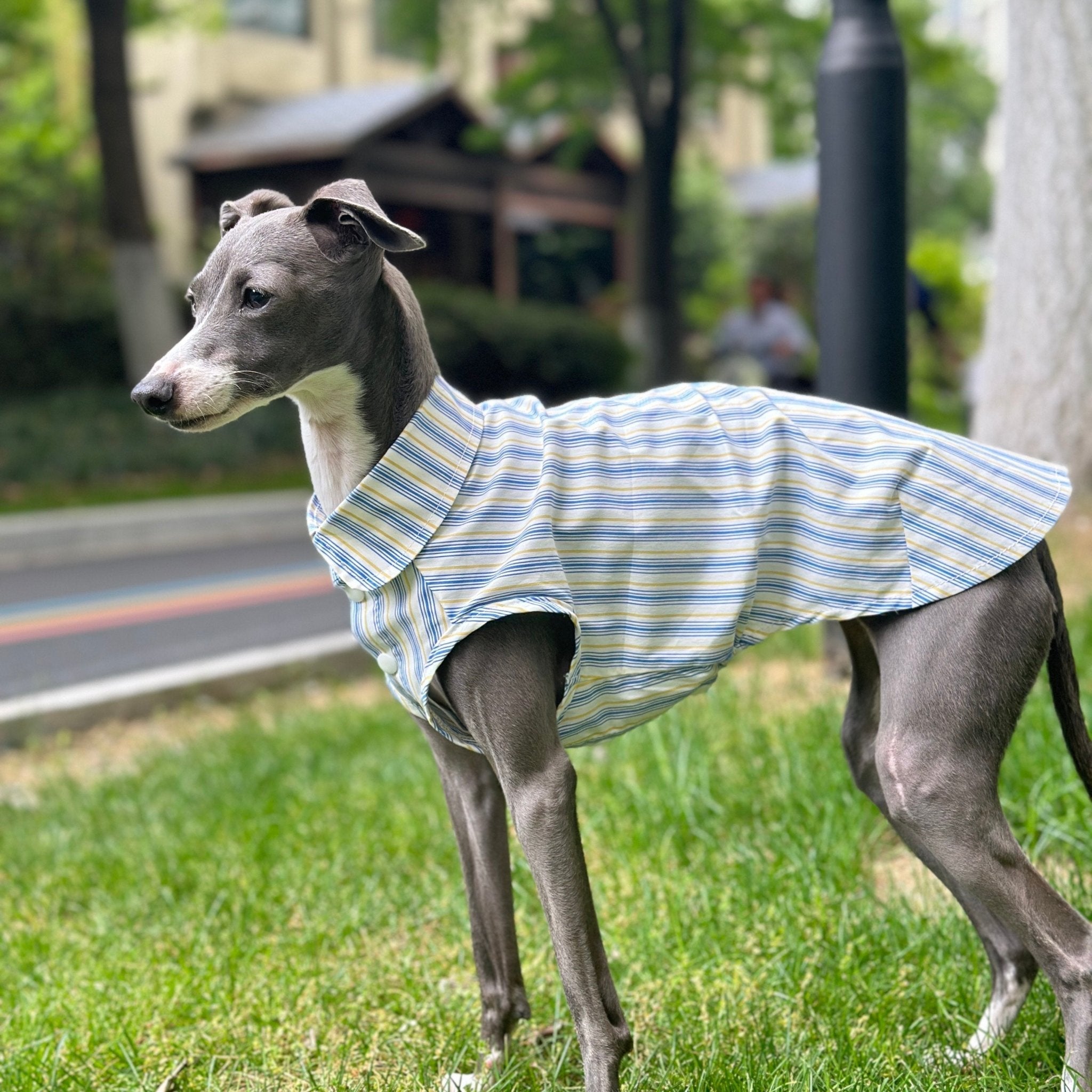 Ultra Light Cooling Italian Greyhound Tank Shirt