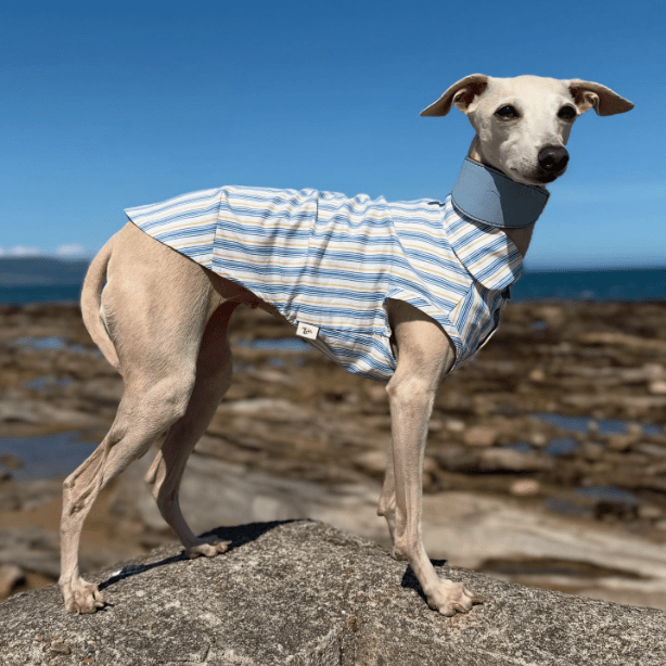 Ultra Light Cooling Italian Greyhound Tank Shirt