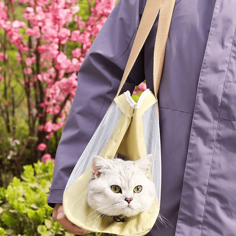 Ventilated Spacious Pet Carrier Tote