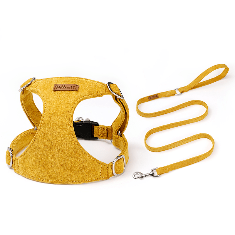 Comfortable Toy Small Dog Harness
