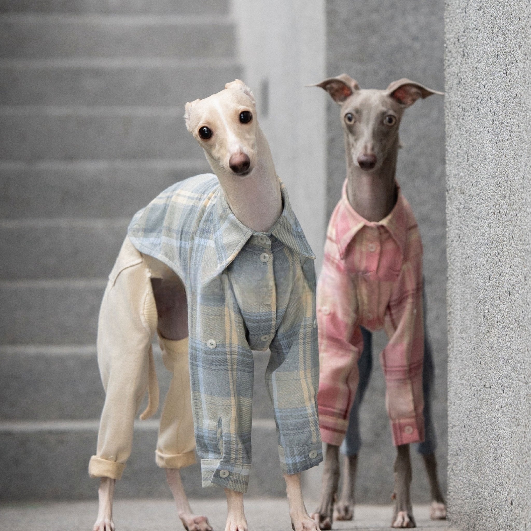 Vintage Soft Plaid Italian Greyhound Shirt