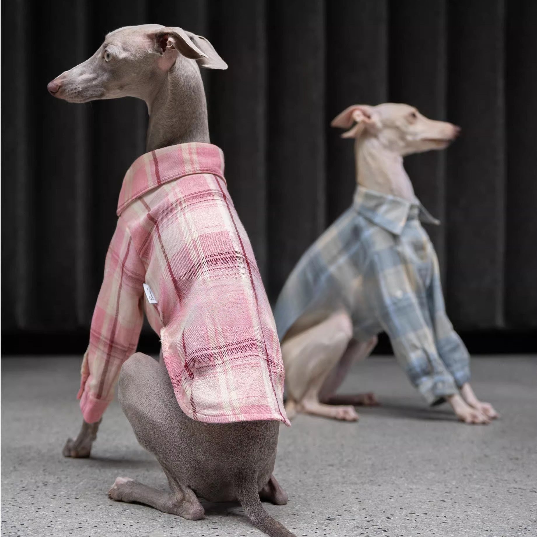 Vintage Soft Plaid Italian Greyhound Shirt