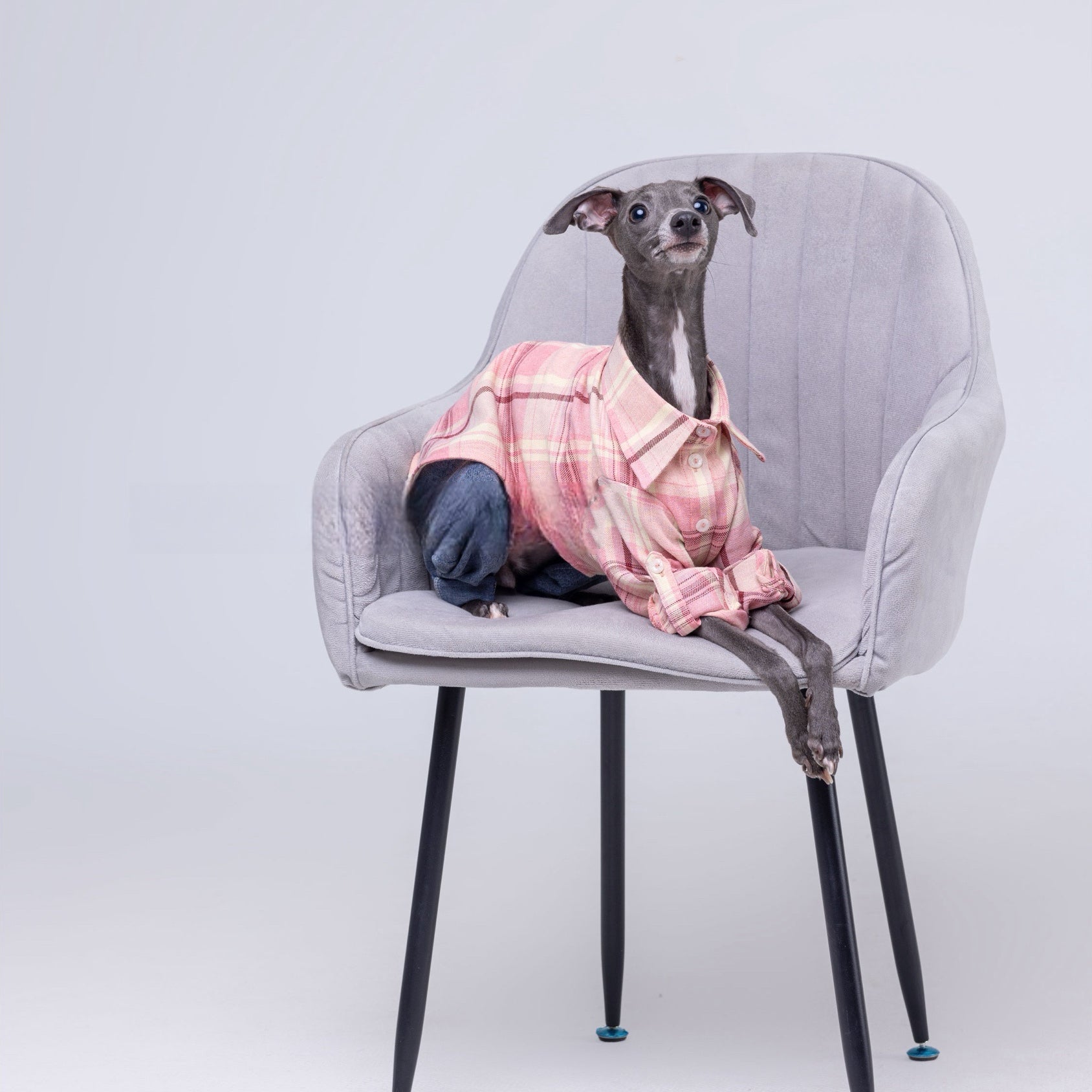 Vintage Soft Plaid Italian Greyhound Shirt