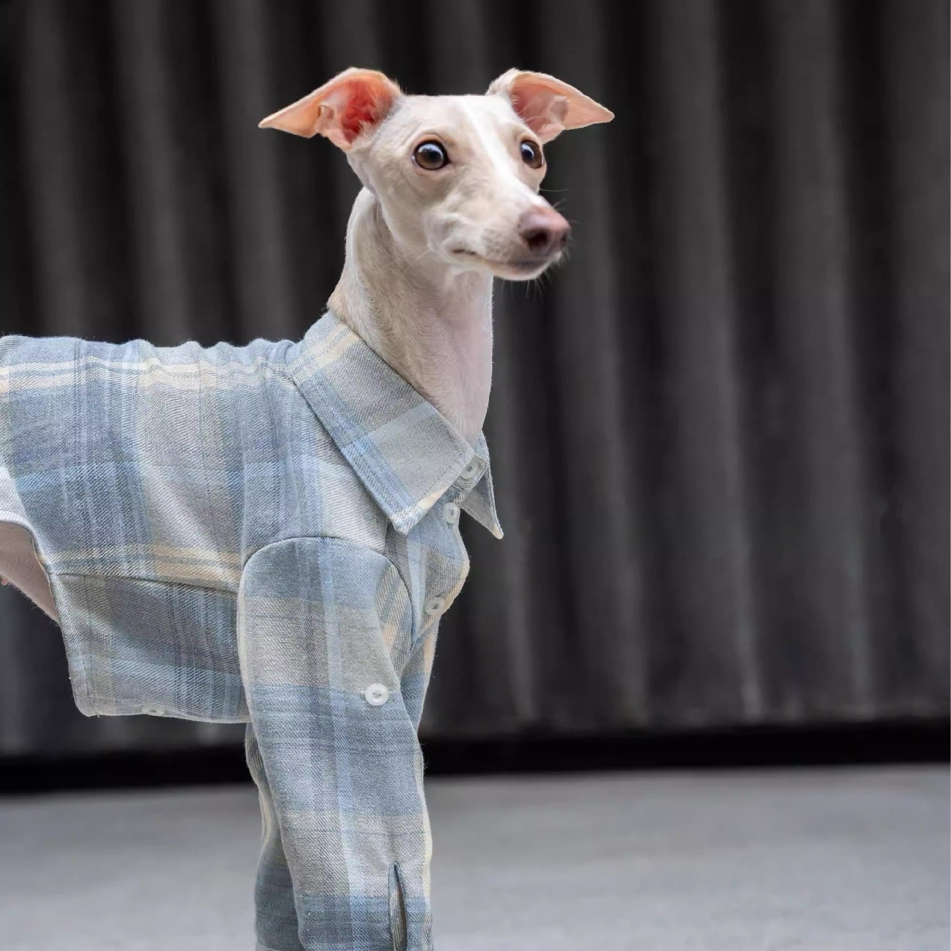 Vintage Soft Plaid Italian Greyhound Shirt