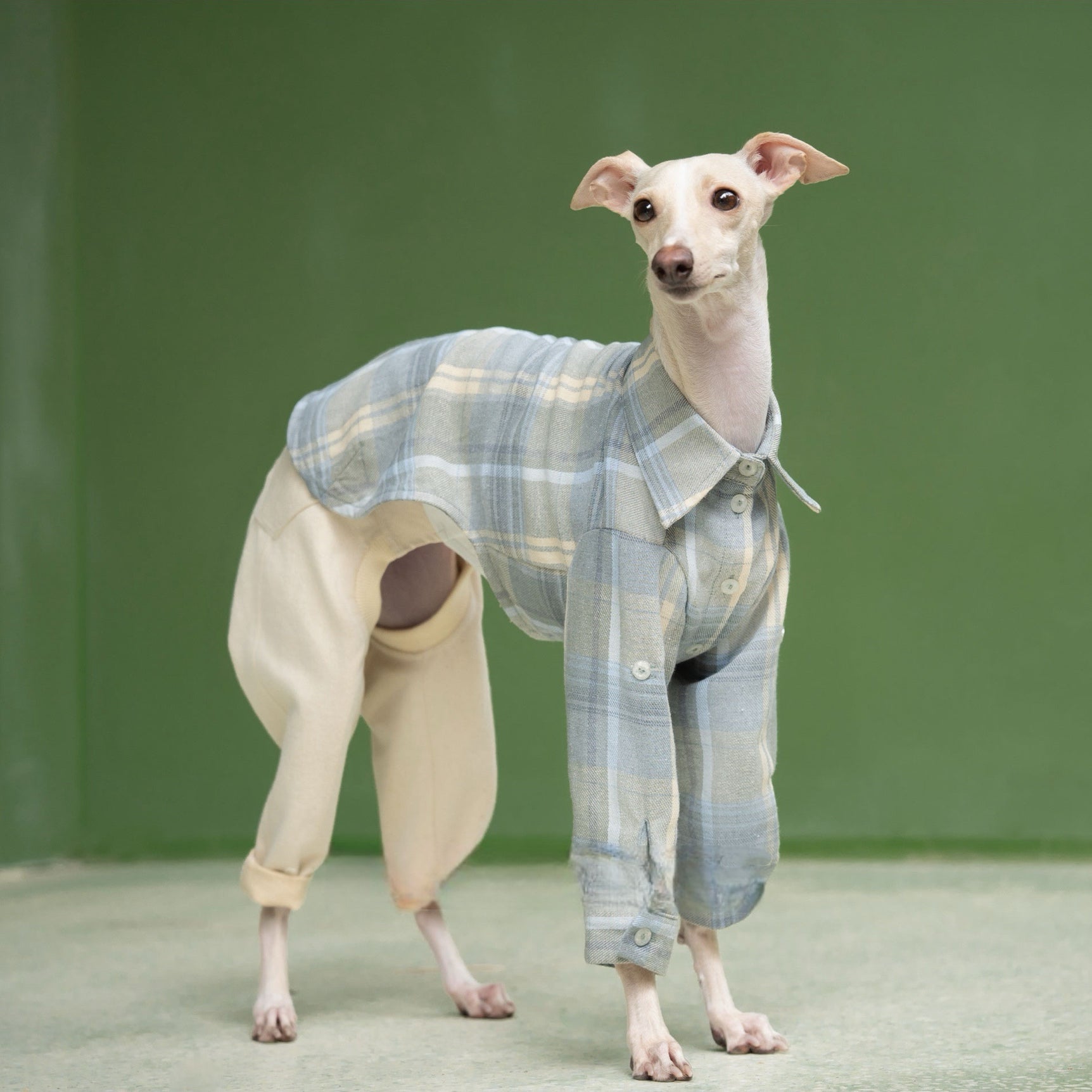 Vintage Soft Plaid Italian Greyhound Shirt