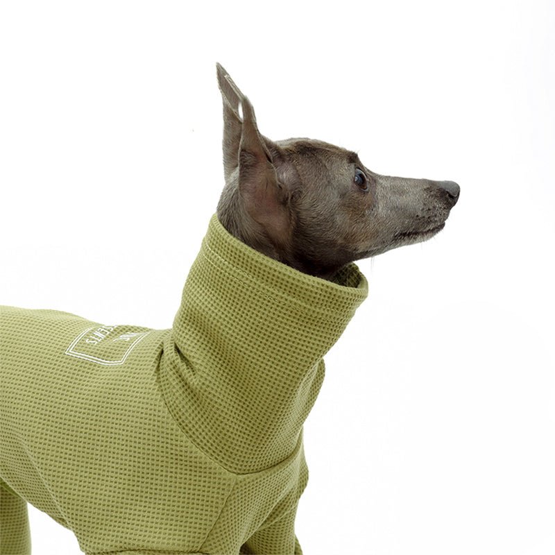 Soft Cotton Italian Greyhound Dog Jumpsuit