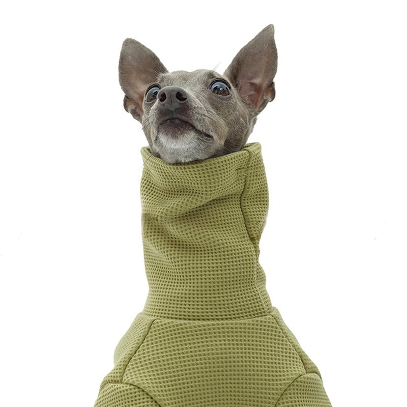 Soft Cotton Italian Greyhound Dog Jumpsuit