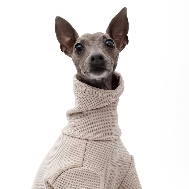 Soft Cotton Italian Greyhound Dog Jumpsuit