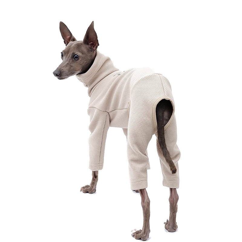 Soft Cotton Italian Greyhound Dog Jumpsuit