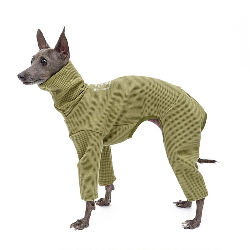Soft Cotton Italian Greyhound Dog Jumpsuit