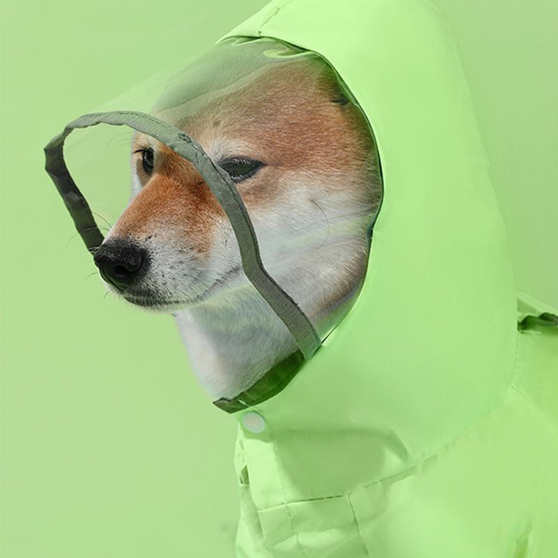 Waterproof Small Dog Raincoat