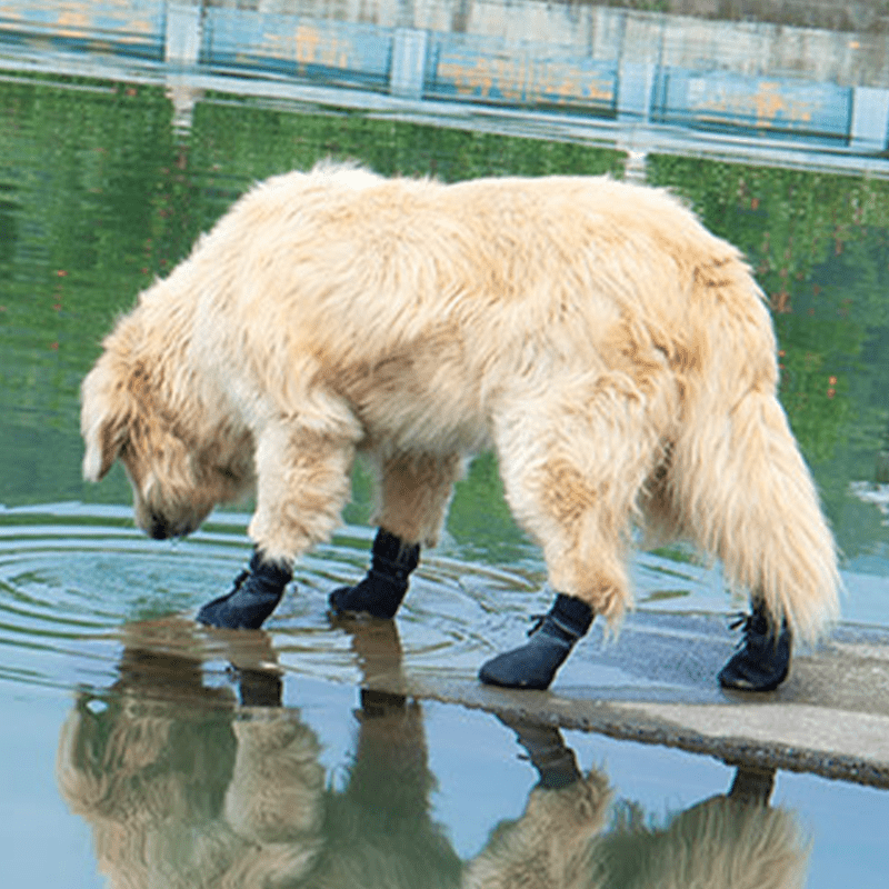 Waterproof Dog Booties Non Slip Socks