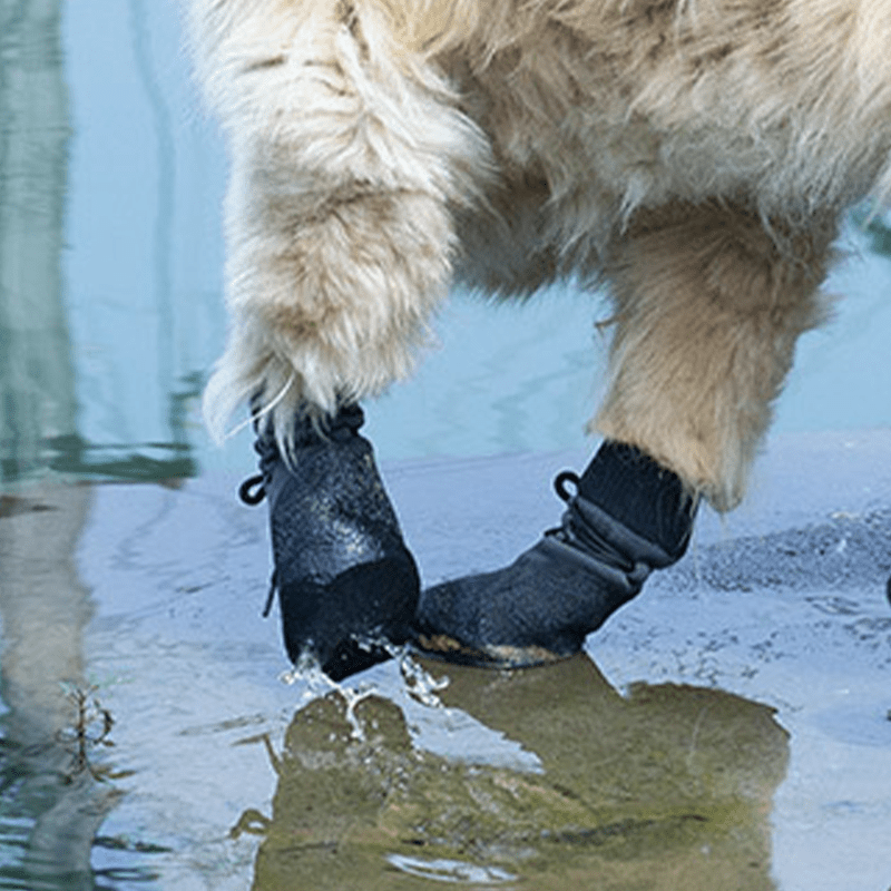 Waterproof Dog Booties Non Slip Socks