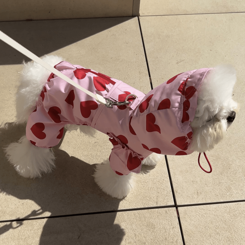 Waterproof Dog Raincoat Heart Cloud Design