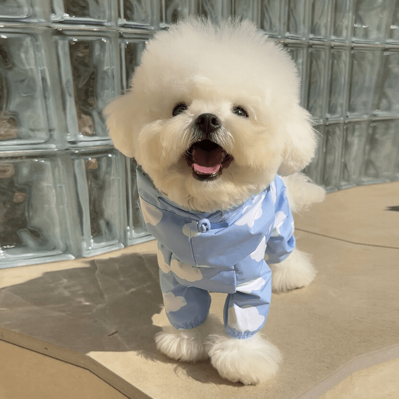 Waterproof Dog Raincoat Heart Cloud Design