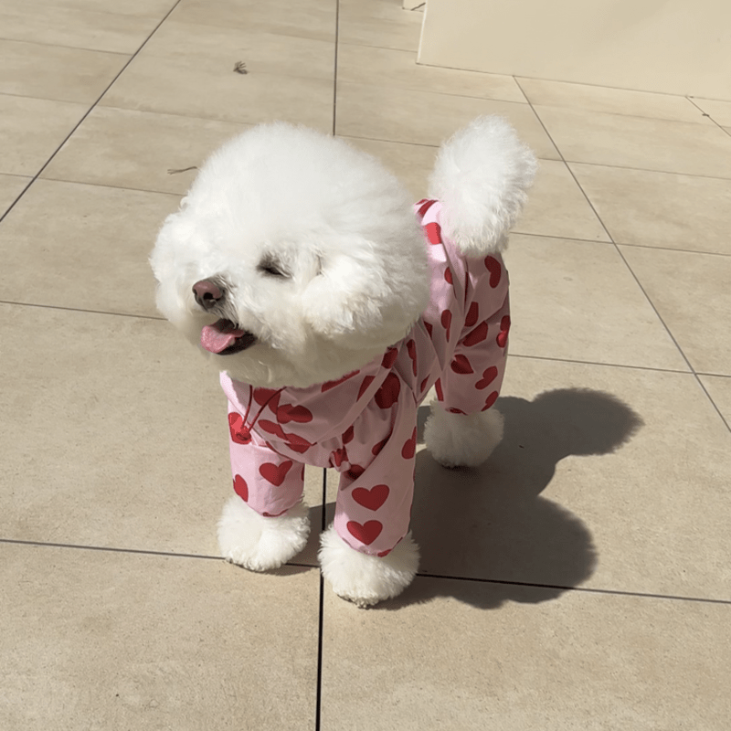 Waterproof Dog Raincoat Heart Cloud Design