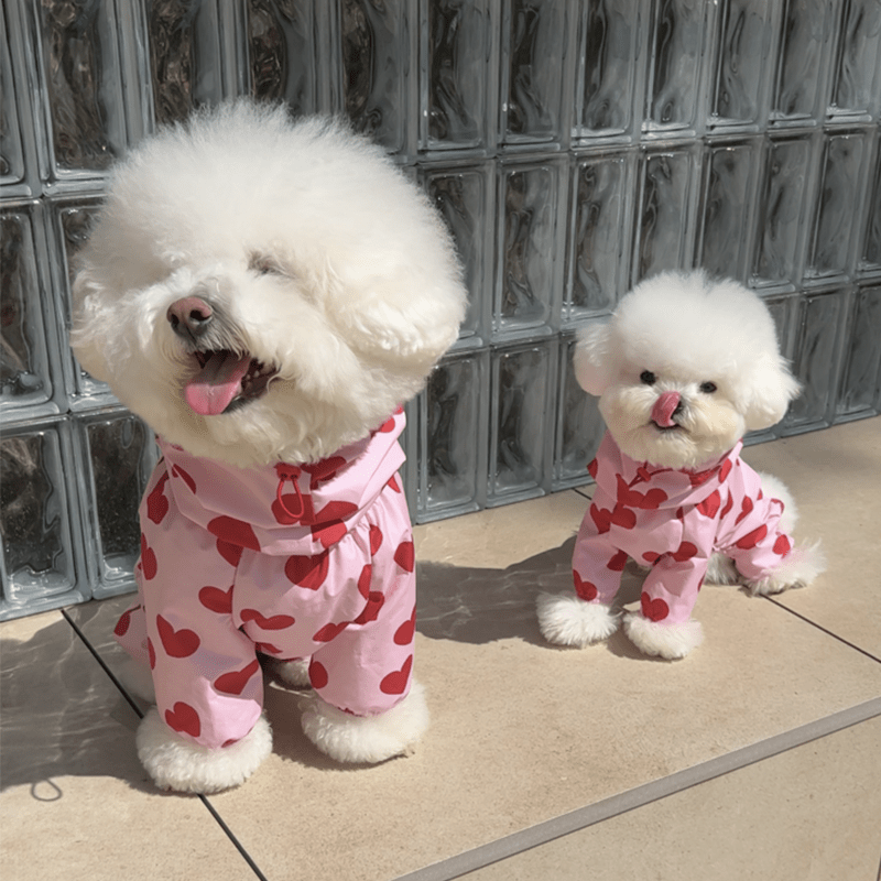 Waterproof Dog Raincoat Heart Cloud Design
