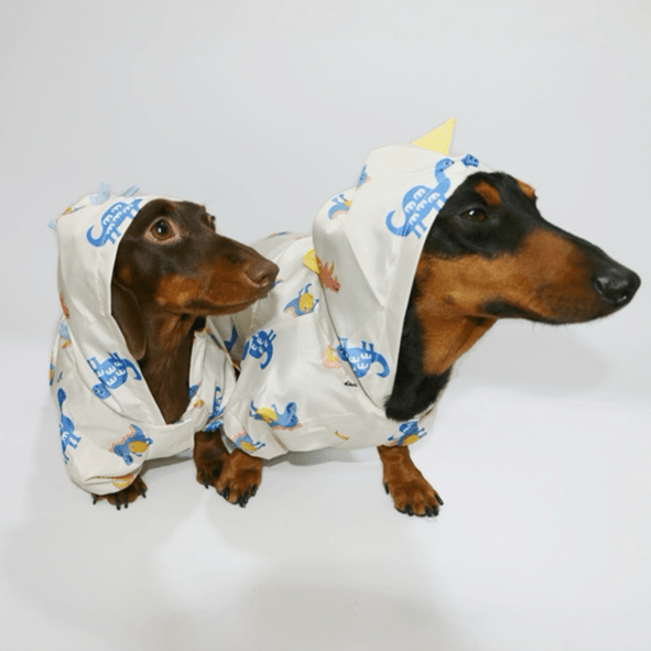 Waterproof Dachshund Raincoat Spring Summer
