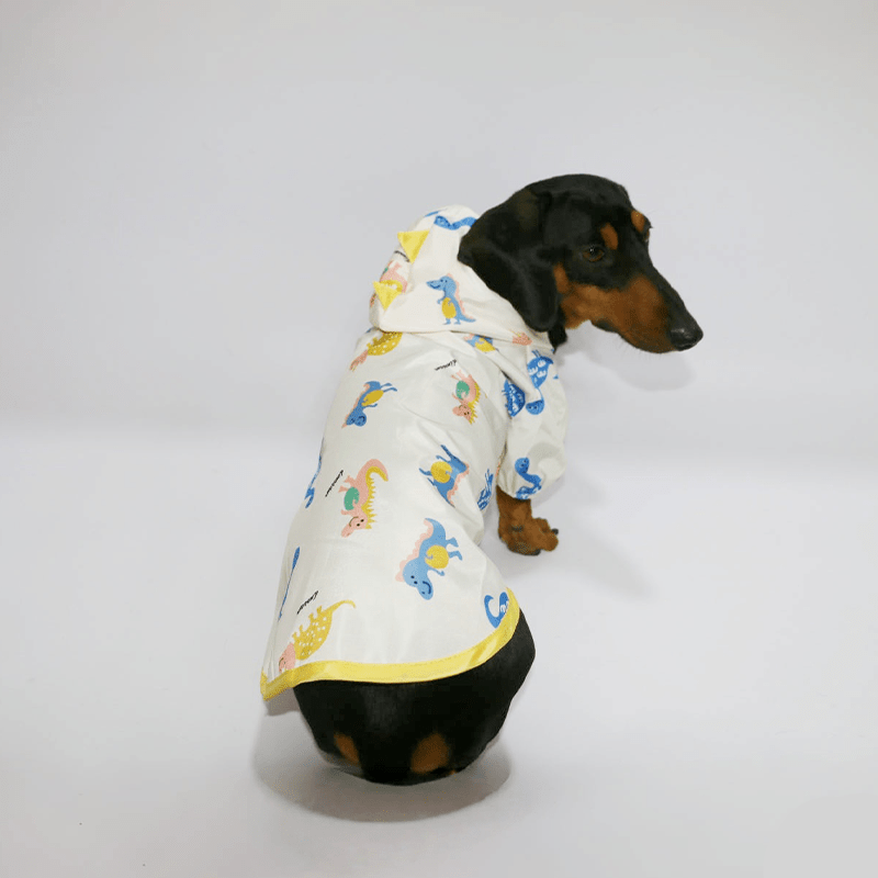 Waterproof Dachshund Raincoat Spring Summer