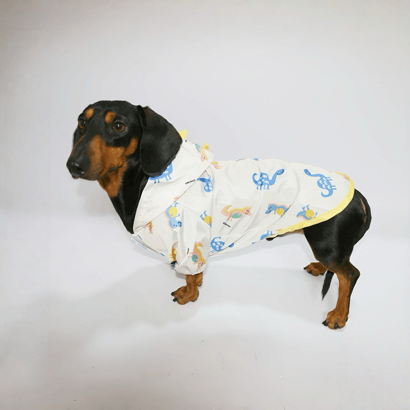 Waterproof Dachshund Raincoat Spring Summer