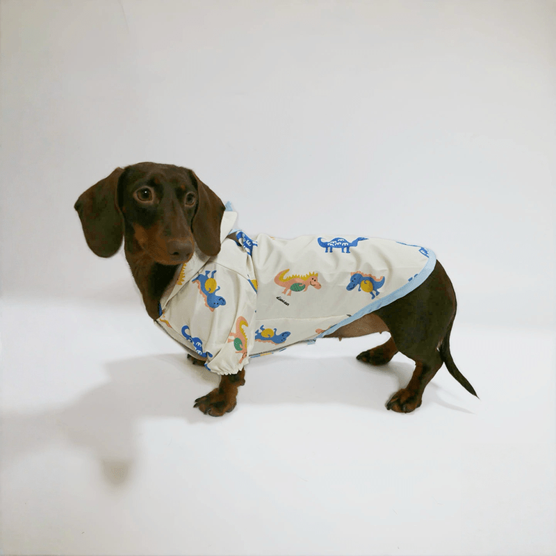 Waterproof Dachshund Raincoat Spring Summer