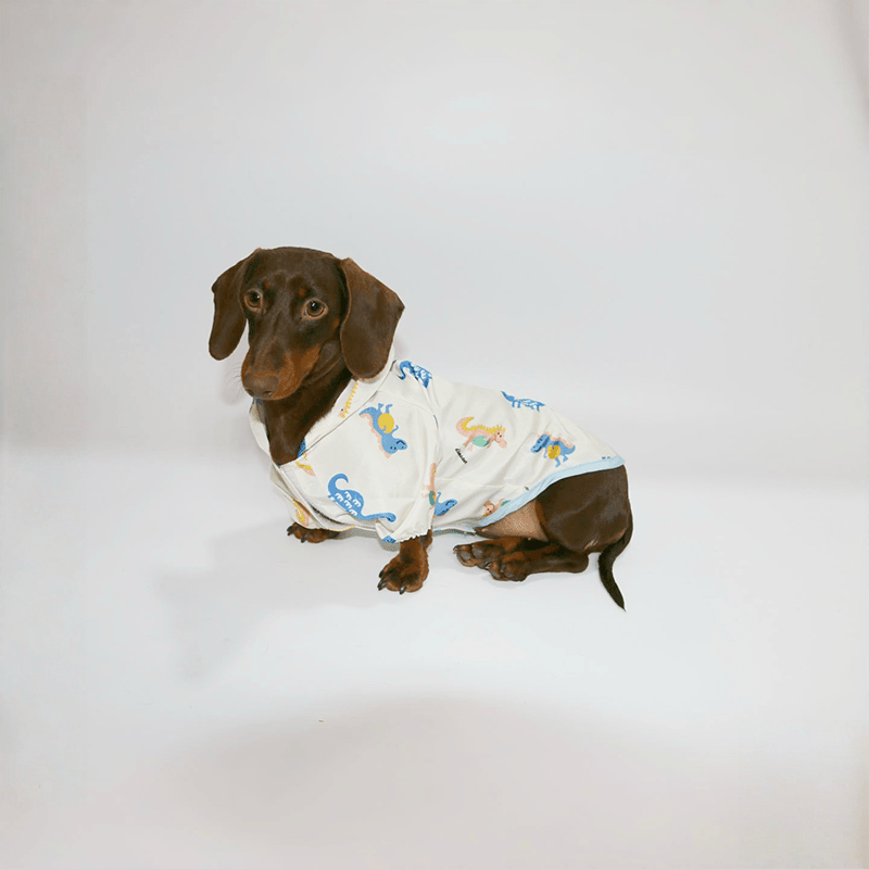 Waterproof Dachshund Raincoat Spring Summer